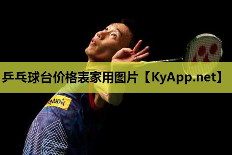 乒乓球台价格表家用图片