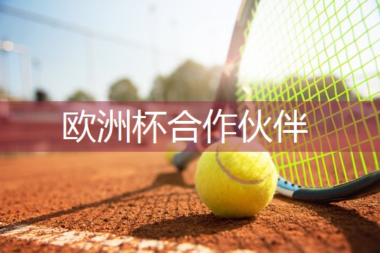 乒乓球台前小球