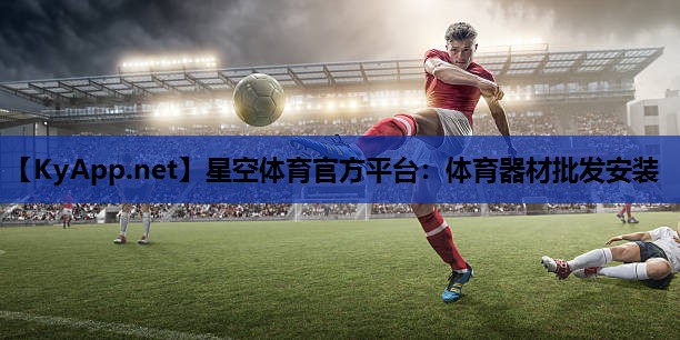 体育器材批发安装