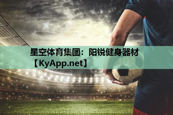 阳锐健身器材