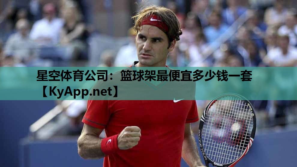 篮球架最便宜多少钱一套
